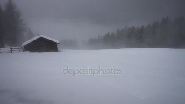 Fog Cloud Darkens Snow Landscape Gloomy Winter Weather South Tirol — Stock Video