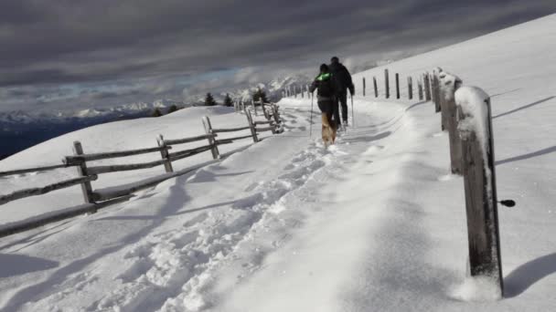 南チロルの雪景色で犬と一緒にイタリア冬のアクティビティ ハイキングの人々 — ストック動画