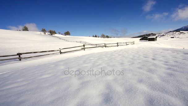 妇女徒步旅行与狗在白雪皑皑的风景在南蒂罗尔意大利冬季活动 — 图库视频影像
