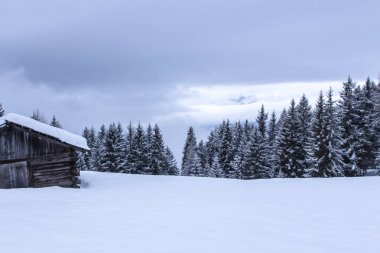 karlı ve sisli montains manzara kış