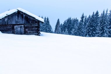 karlı ve sisli dağ kış manzarası 