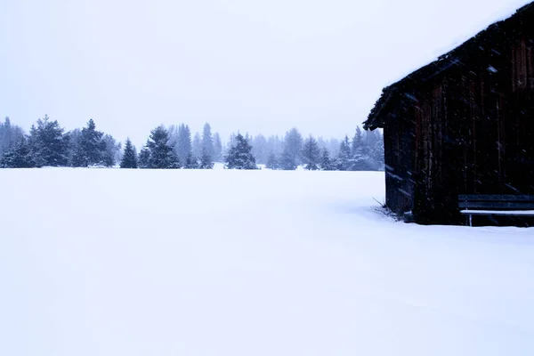 雪と霧の木製キャビン冬の風景 — ストック写真