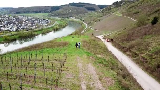 Drone Follow Aerial Video Mosel Valley Germany — Stock Video