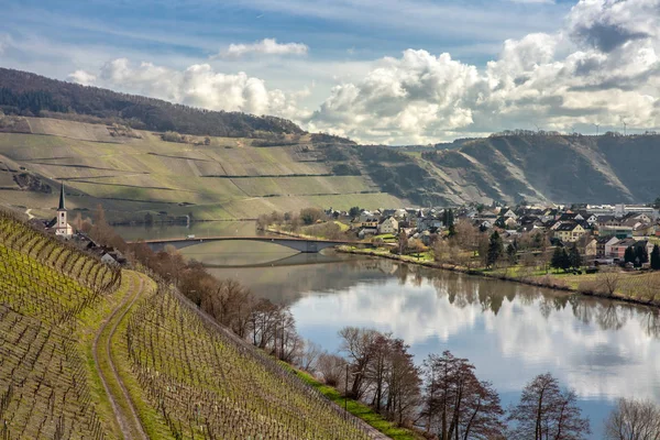 Piesport üzüm bağları, Moselle manzara manzara bahar — Stok fotoğraf
