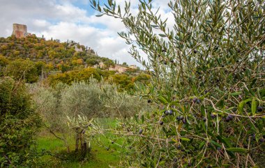 Toskana Ortaçağ Köyü Rocca d 'Orcia Toskana İtalya 