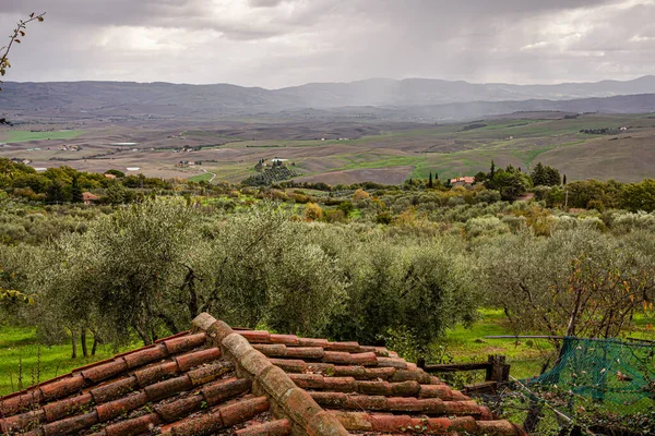 Typické toskánské pěstování Pole Krajina — Stock fotografie