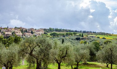 Toskana İtalya Tipik Kırsal Manzara 