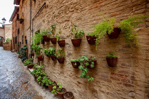 Volterra città medievale Case pittoresche Vicolo in Toscana Ital — Foto Stock