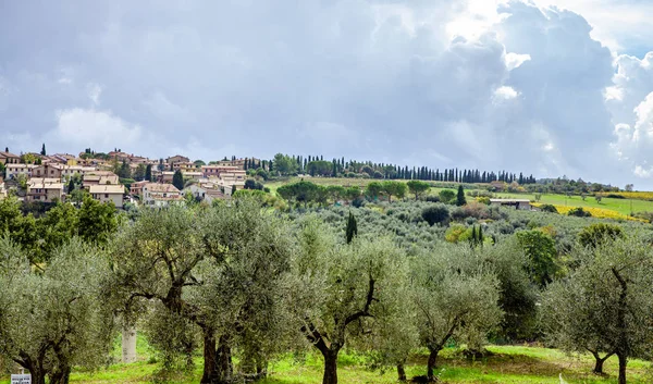 Toscana Italia Paesaggio paesaggistico tipico della campagna — Foto Stock