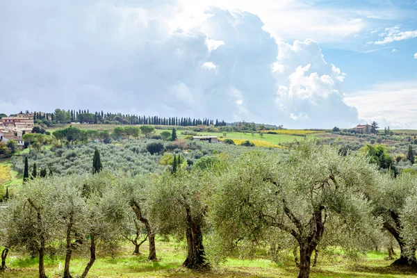 Toscana Italia Paesaggio paesaggistico tipico della campagna — Foto Stock