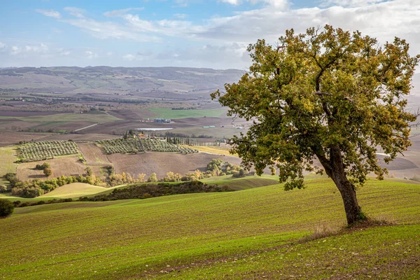 Toscana Agricoltura Paesaggio a Rocca d'Orcia — Foto Stock