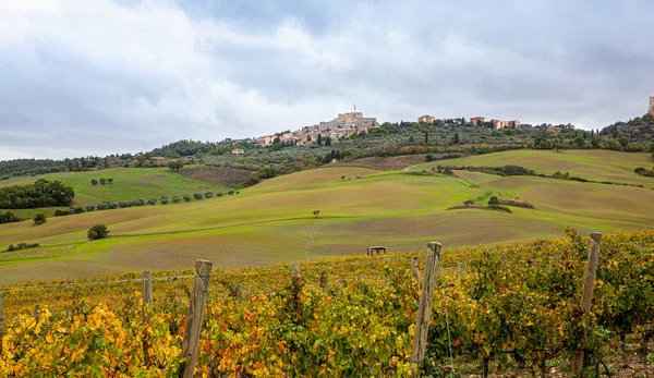 Campagna Toscana Paesaggio Val d'Orcia Italia — Foto Stock