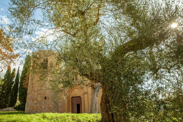 教会Pieve di Corsignano Pienza Tostosaイタリア — ストック写真