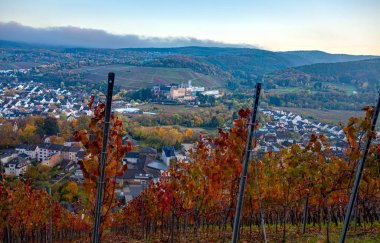 Ahrweiler Şehri ve bağları Sonbahar Almanya 'sında manzara 