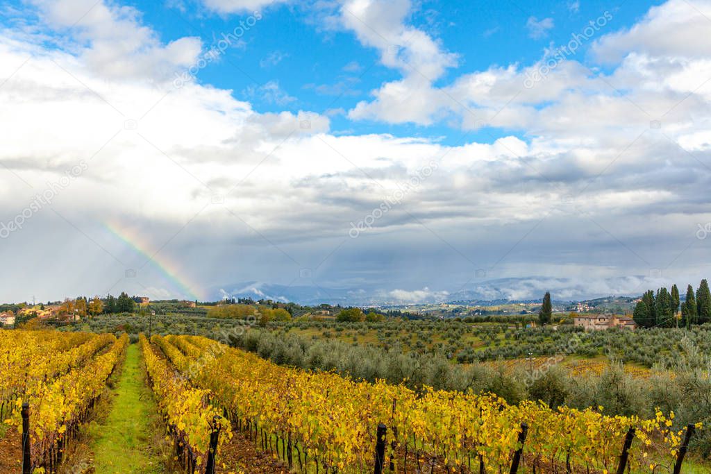 Tuscany Autumn Countryside Landscape in San Casciano in Val di P
