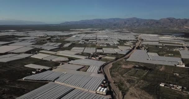 Drone Antenni Näkymä Kasvihuoneet Tai Euroopan Muovinen Puutarha Alueella Andalusia — kuvapankkivideo
