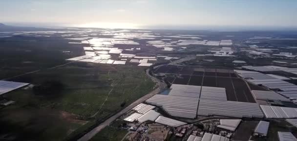 アンダルシアの地域の温室やヨーロッパのプラスチック庭園のドローン空中ビューマル プラスティコ — ストック動画