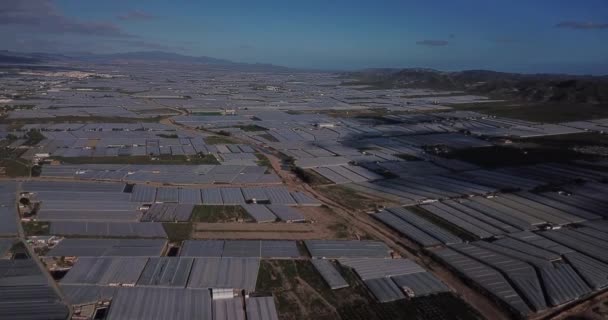 Drone Aerial View Greenhouses Europe Plastic Garden Region Andalusia Mar — 비디오