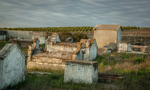 Övergiven ruin kyrkogård och igenväxt landskap — Stockfoto