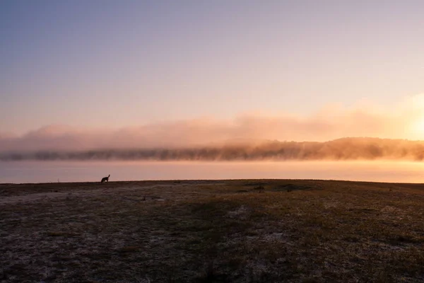 Sonnenaufgang am Stausee Montargil Ponte de Sor Alentejo Portuga — Stockfoto