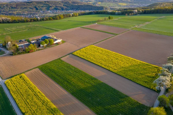 Luftaufnahme Der Landwirtschaft Felder Landschaft Frühling Remagen Deutschland — Stockfoto