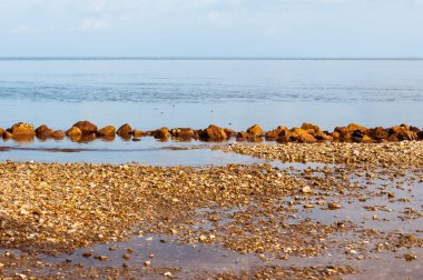taş ya da kaya sahilde sıcak sesi