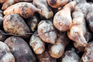 yerde kar lotus. Satılık. Hawbaw kar