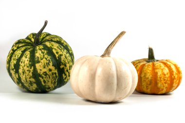 Beyaz arka plan üzerinde renkli mini kabaklar, izole