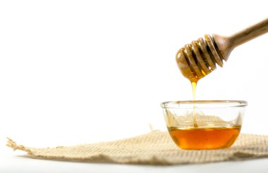 Bal ayı ve şeffaf kase isol içine kokulu bal