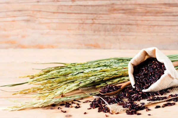 Arroz cru marrom em saco saco com planta de arroz seco em fundo de mesa de madeira . Fotografia De Stock