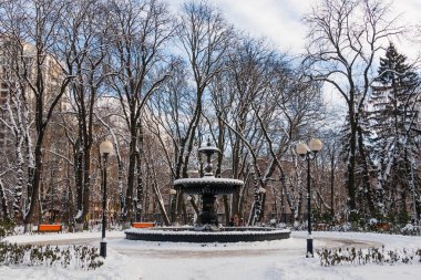 Kar kış Park boş banklar kaplı
