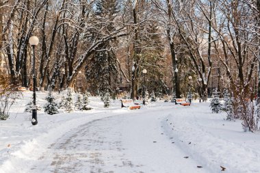 Kar kış Park boş banklar kaplı