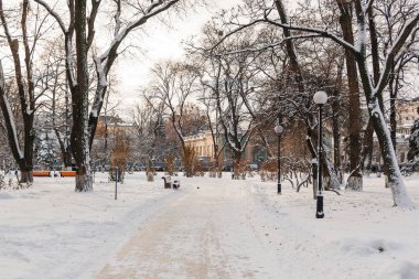 Kar kış Park boş banklar kaplı