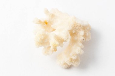 Makro mineral taş Zheuda kalsedon beyaz arka plan