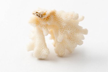 Makro mineral taş Zheuda kalsedon beyaz arka plan