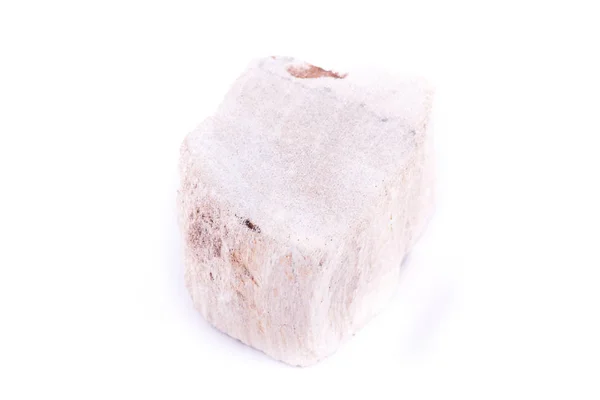 Макро мінеральний камінь Скам'яніле дерево на білому тлі — стокове фото