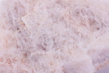 Beyaz bir arka plan üzerinde taş makro mineral wollastonite