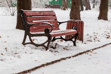 Kış kar ve hoarfrost kaplı park