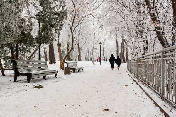 Winterpark mit Schnee und Raureif bedeckt — Stockfoto