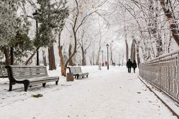 Parque de invierno cubierto de nieve y heladas — Foto de Stock