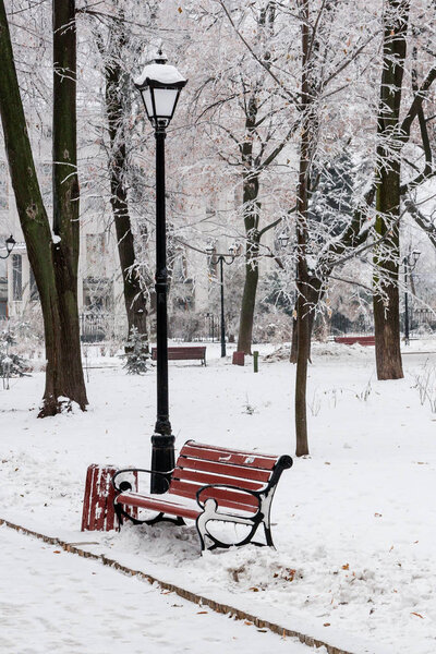 Winter park and benches covered with snow and frost