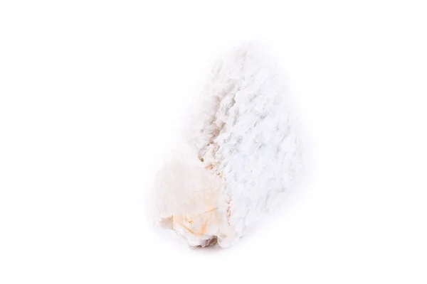 Πέτρα μακροεντολή ορυκτό ταλκ σε λευκό φόντο — Φωτογραφία Αρχείου