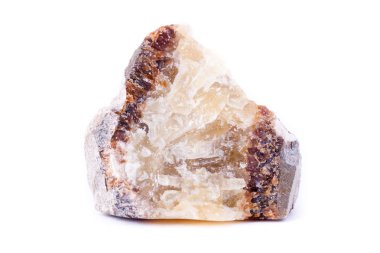 Makro mineral taş hedenbergite beyaz bir arka plan üzerinde