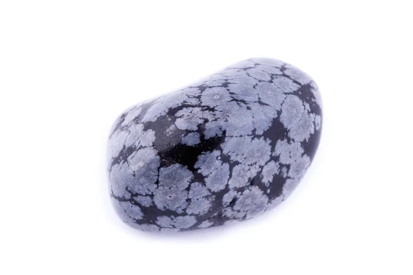 Piedra macro mineral obsidiana nieve sobre un fondo blanco — Foto de Stock
