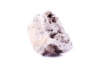 Beyaz bir arka plan üzerinde makro mineral phlogopite taş