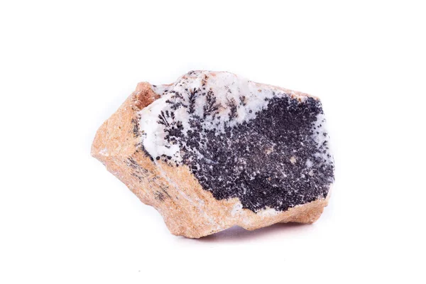 Makro mineral taş dendrite manganez oksit üzerinde beyaz backgro — Stok fotoğraf