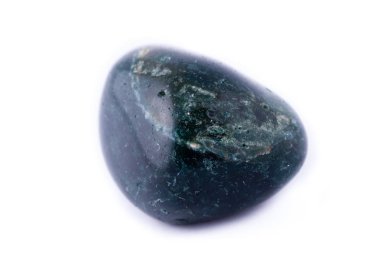 Makro beyaz bir arka plan üzerinde taş kediotu