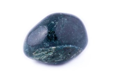 Makro beyaz bir arka plan üzerinde taş kediotu