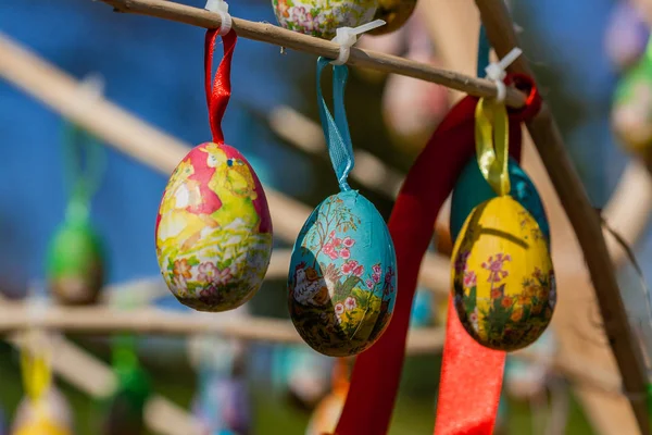Easter eggs hanging on a branch — Stock Photo, Image