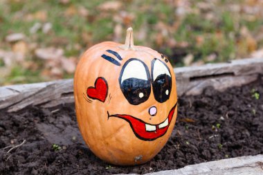 Oyma ve boyalı Cadılar Bayramı Balkabağı